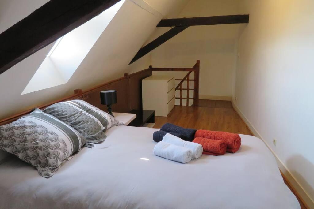 Loft De 53 M2 Centre Ville Blois,Tv Luaran gambar